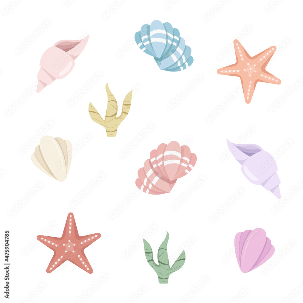 Seashells and seastars collection. Vector flat cartoon illustration. Isolated on white background. Sea shells and stars colorful icons set.