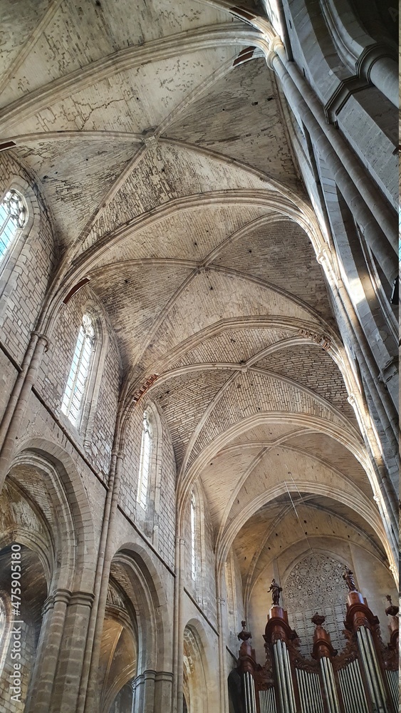 basilique basilique