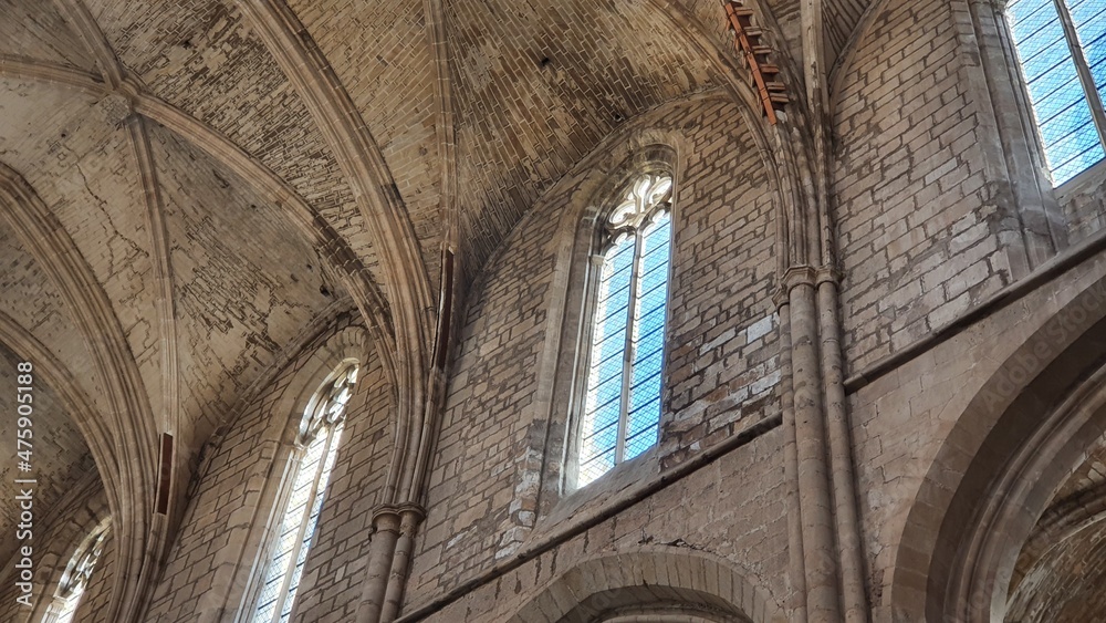 basilique basilique