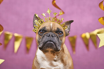 French Bulldog dog wearing New Year's Eve part headband with text 'Happy new year' in front of pink background