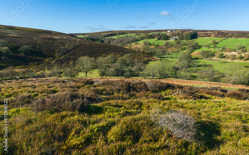 North York Moors in spring, Yorkshire, UK.