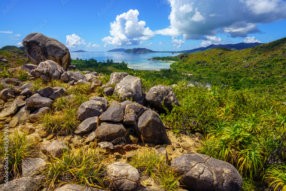 hikink through the jungle on curieuse island on the seychelles hikink through the jungle on curieuse island on the seychelles