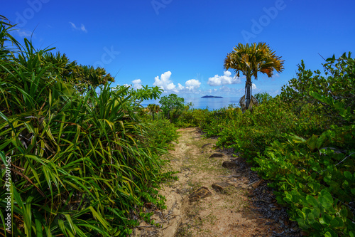 hikink through the jungle on curieuse island on the seychelles © Christian B.