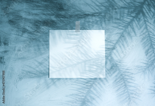 New Year or Christmas card, poster, advertising poster, announcement. The branches of the Christmas tree cast shadows on the blue wall. Copy space for text.