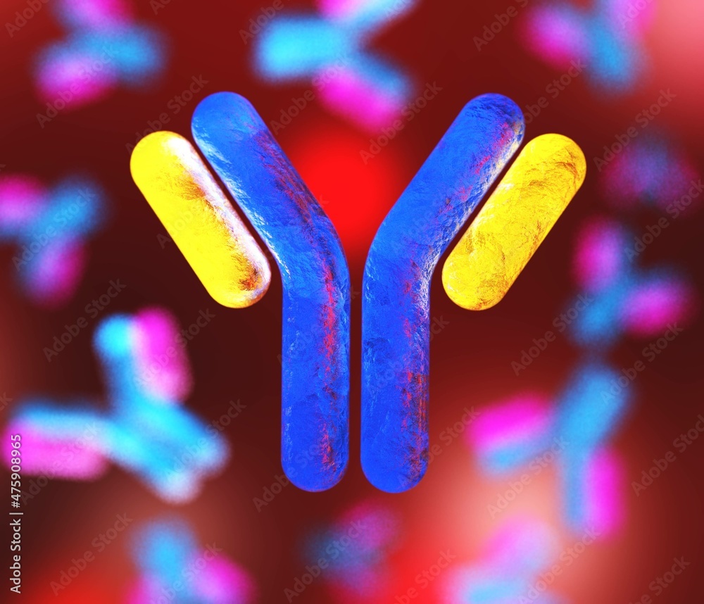 Antibodies, blood plasma globular proteins, background antibodies