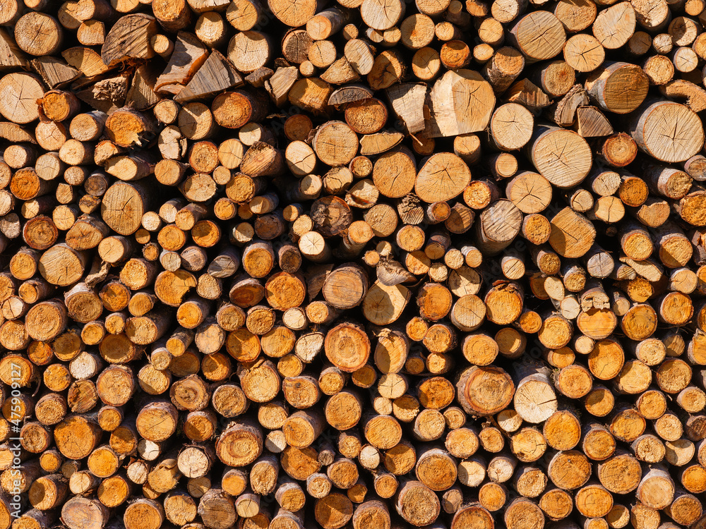 Logs as a background. Texture of natural wood.