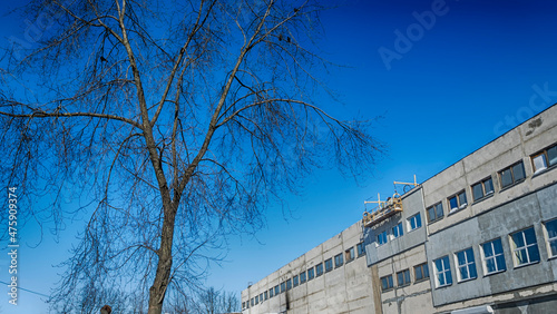 Bare branches of trees against the blue sky and building. Nature conservation.