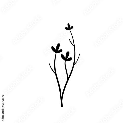 Natural plant. Abstract doodle flower.