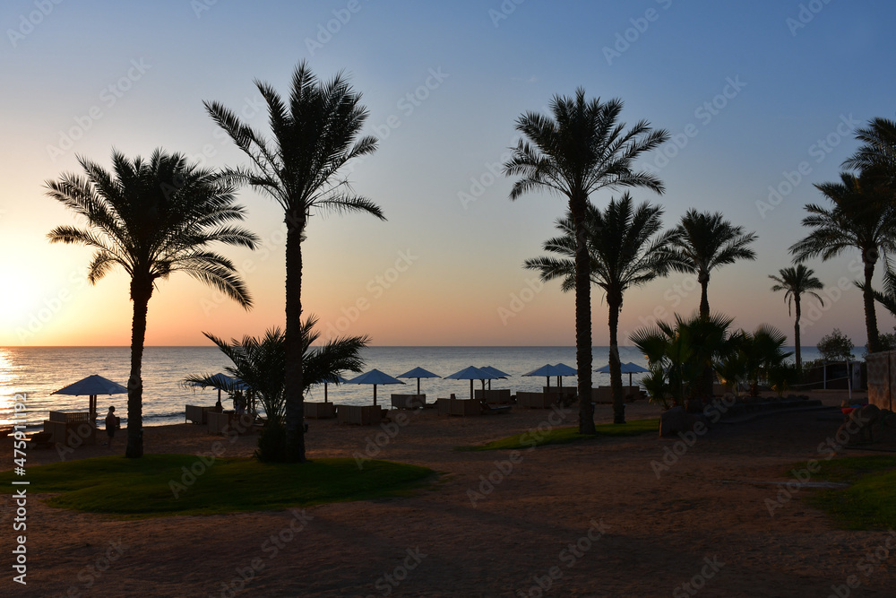Obraz premium View from the beach at sunrise or sunset over the sea. A sunny path on the water. Silhouettes of beach umbrellas and sun beds. palm trees. A beautiful start or end the holiday day