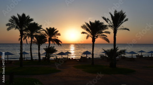 View from the beach at sunrise over the sea. A sunny path on the water. Silhouettes of beach umbrellas and sun beds. palm trees. A beautiful start to the holiday day © Olga