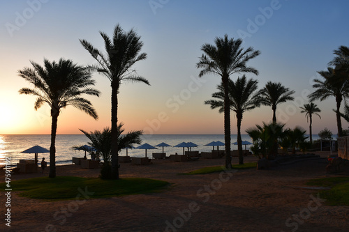 View from the beach at sunrise or sunset over the sea. A sunny path on the water. Silhouettes of beach umbrellas and sun beds. palm trees. A beautiful start or end the holiday day