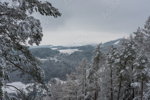 Snowy landscape with trees near Mala Skala village in Jizera river valley