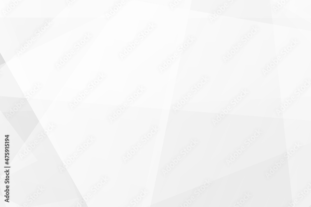 Obraz premium Abstract white and grey on light silver background modern design. Vector illustration EPS 10.
