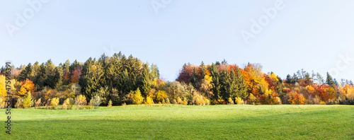 Herbstliche Landschaft. Herbstliche Farben am Waldrand. Herbstpanorama. Autumn landscape. Autumn colors at the edge of the forest. autumn panorama.