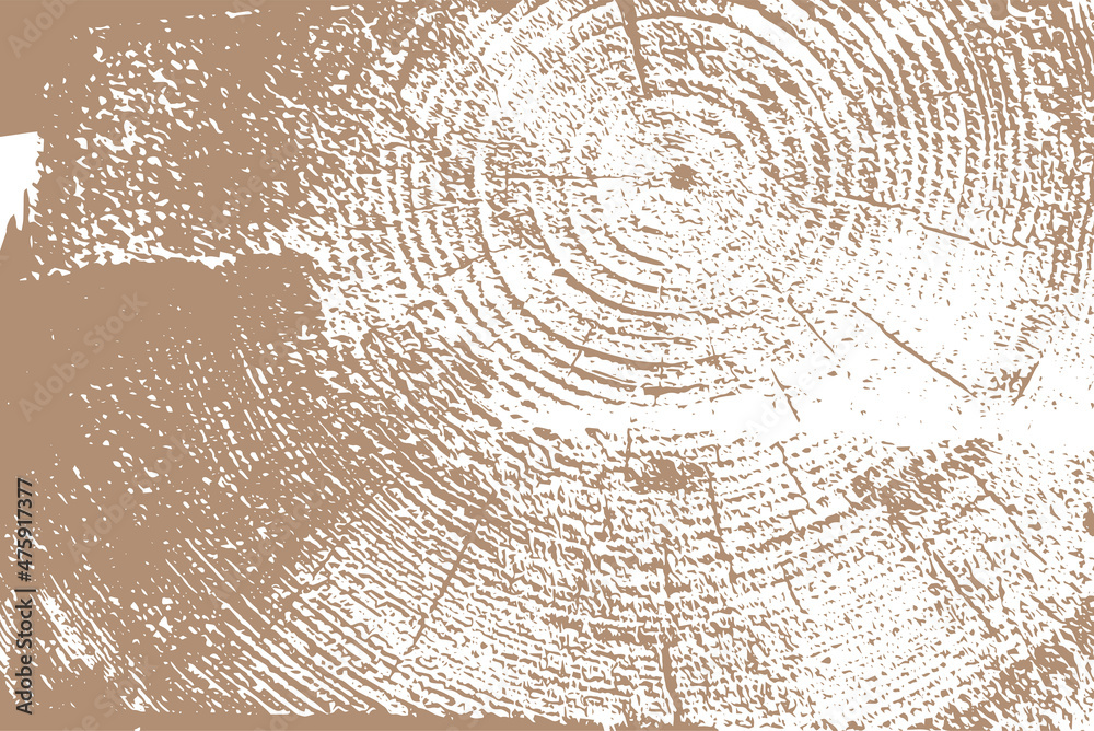 Fototapeta premium circular textured wooden board vector background