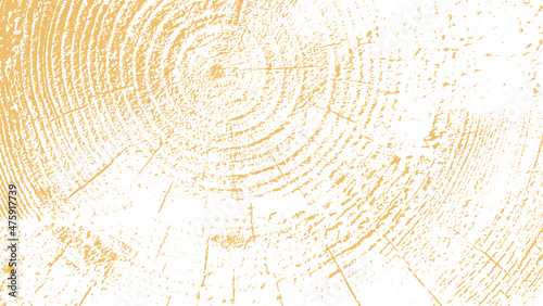 circular textured wooden  board  vector  background