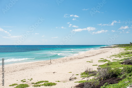 Fototapeta Naklejka Na Ścianę i Meble -  Cozumel East wild beach Playa Chumul - Mexico