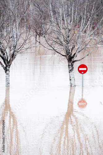 A stop traffic sign and trees underwater photo
