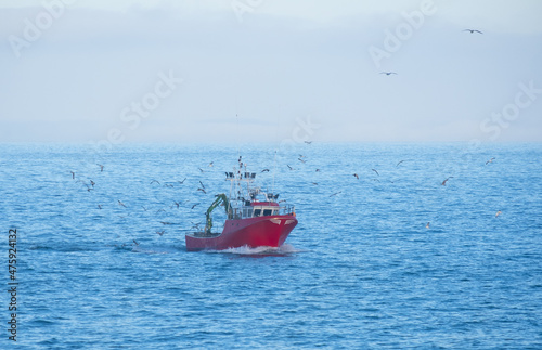 Fishing boat surrounded by seagulls in the sea, Euskadi