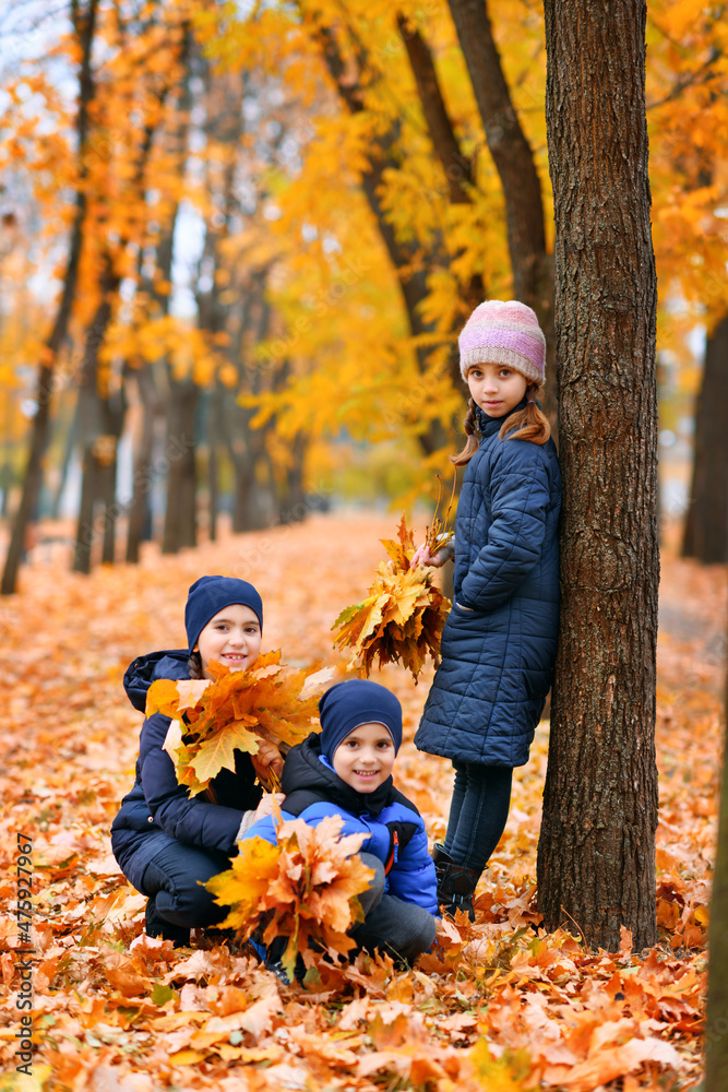 Children playing with yellow maple leaves in autumn city park. They are standing near the trunk of a tree. Fall season, beautiful nature. Children playing with yellow maple leaves in autumn city park. They are standing near the trunk of a tree. Fall season, beautiful nature.