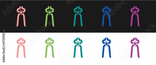 Set Blacksmith pliers tool icon isolated on black and white background. Vector