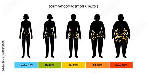 Body fat composition