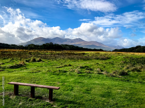 Green landscape and the wooden bench in the first national park in Ireland - Killarney National Park , near the town of Killarney, County Kerry
