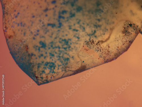 Abstract macro shot of small liquid particles on the orange background photo