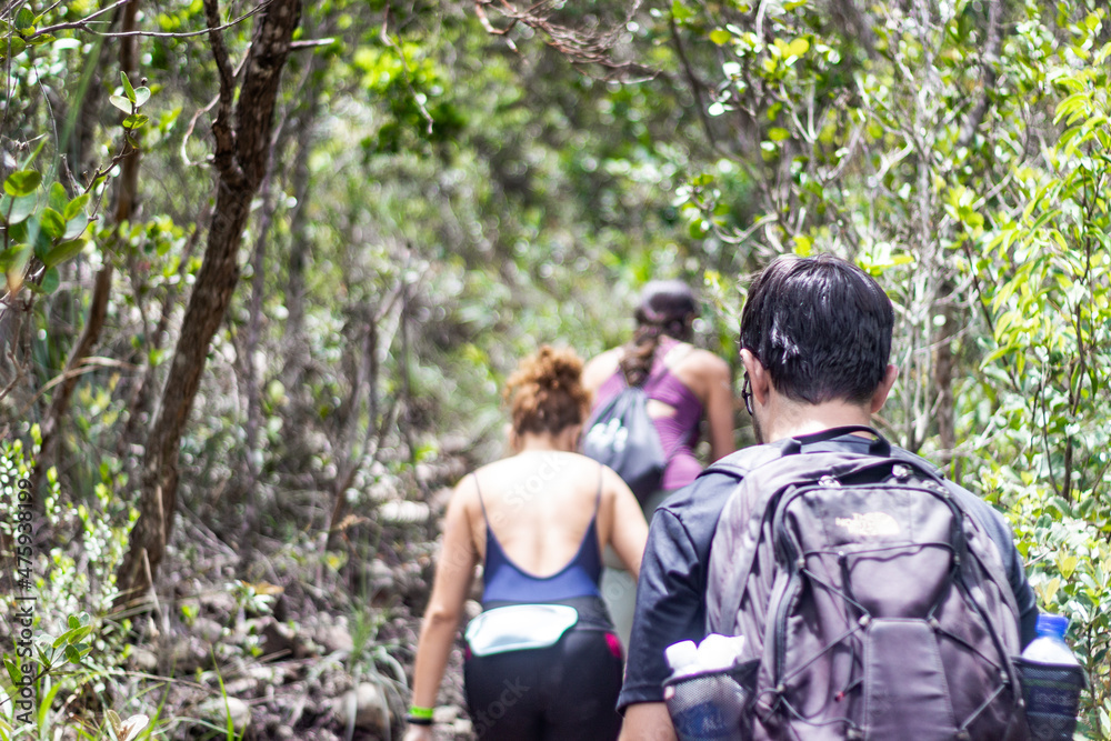 People hiking in the jungle People hiking in the jungle