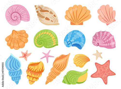 Seashells cartoon hand drawn set. Ocean marine shell, starfish spiral mollusk, conch sink. Tropical travel under water design elements flat colorful collection. Summertime isolated vector illustration