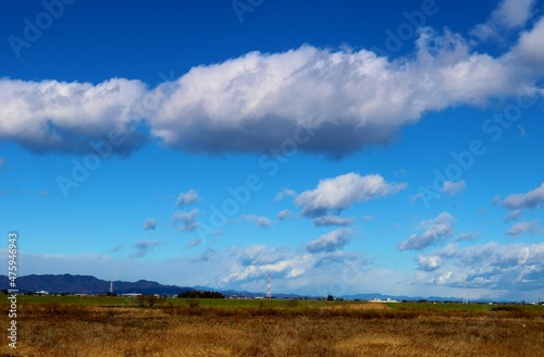 河川から 風景 冬