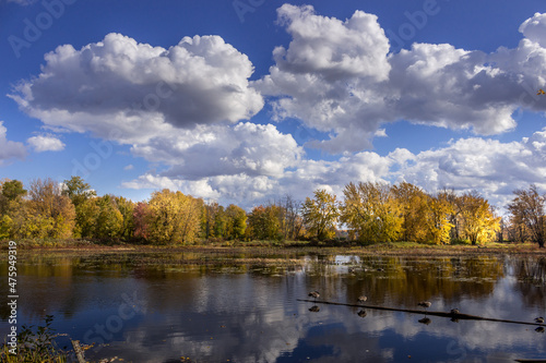 Colourful beautiful Autumn landscaping on the lake © Catherine