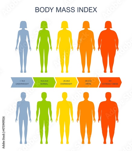 Creative Vector Illustration Of Bmi, Body Mass Index Infographic Chart With  Silhouettes And Scale Isolated On Transparent Background. Art Design Health  Life Template. Abstract Concept Graphic Element. Royalty Free SVG,  Cliparts, Vectors