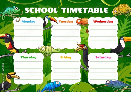Education timetable with toucans and chameleons. Vector schedule with cartoon tropical birds and lizards on tropical palm leaves or lianas. School weekly time table template, student classes organizer