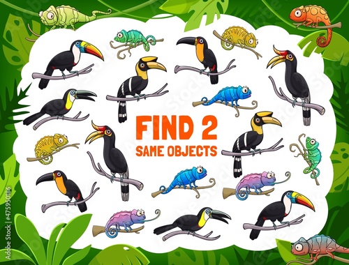 Find two same toucans and chameleons, kids game or tabletop riddle, vector. Find correct match of tropical birds and exotic reptiles in jungle palms, kids cartoon board game puzzle