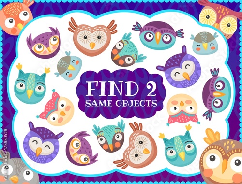 Find two same owl birds kids game. Vector maze or riddle with cartoon funny owlets. Educational children task worksheet, leisure activity puzzle with different funny characters in scandinavian style