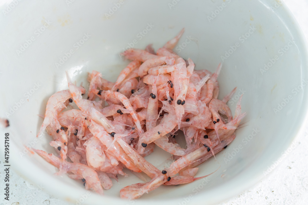 Close up shot of many raw shrimp Close up shot of many raw shrimp