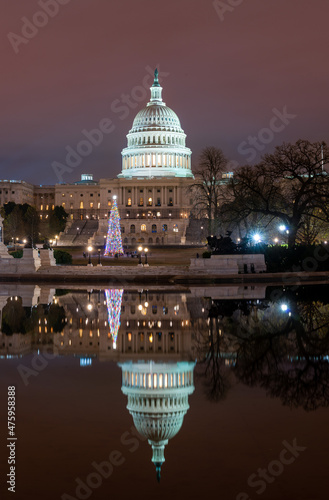 The national christmas tree in front of the US capitol building