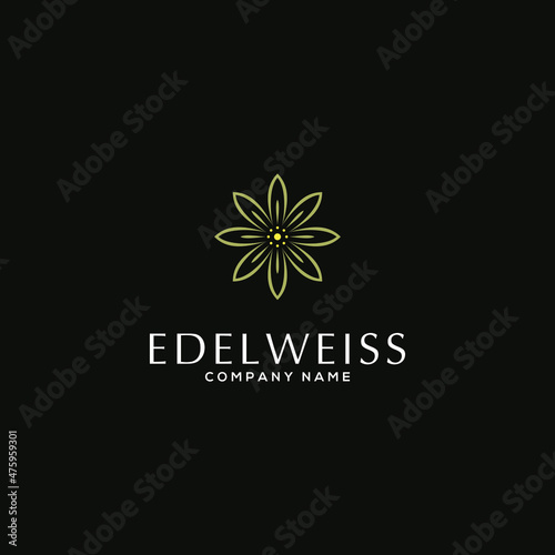 edelweiss flower abstract luxury logo design