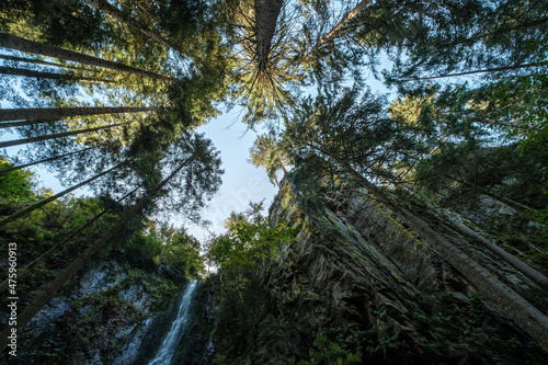 Foto Low angle of Burgbach waterfall in the Black Forest, Germany