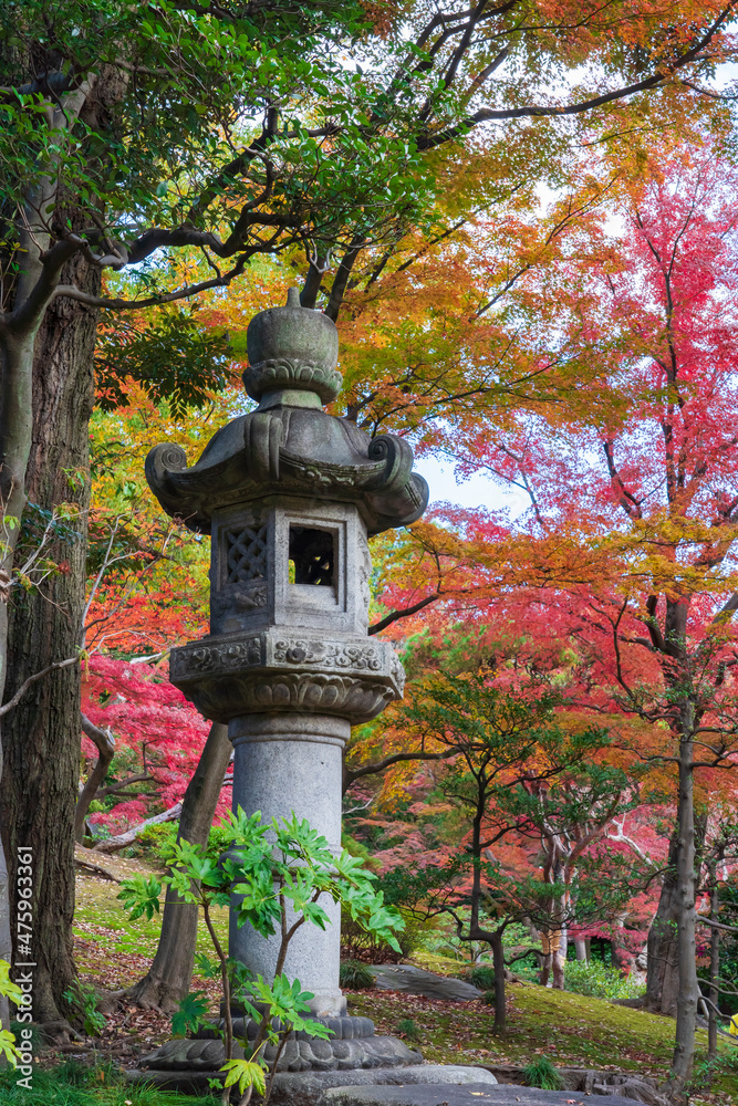 【東京都】秋の旧古河庭園