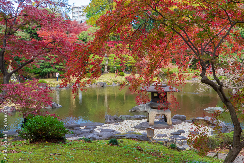 Fototapeta premium 【東京都】旧古河庭園 紅葉の日本庭園