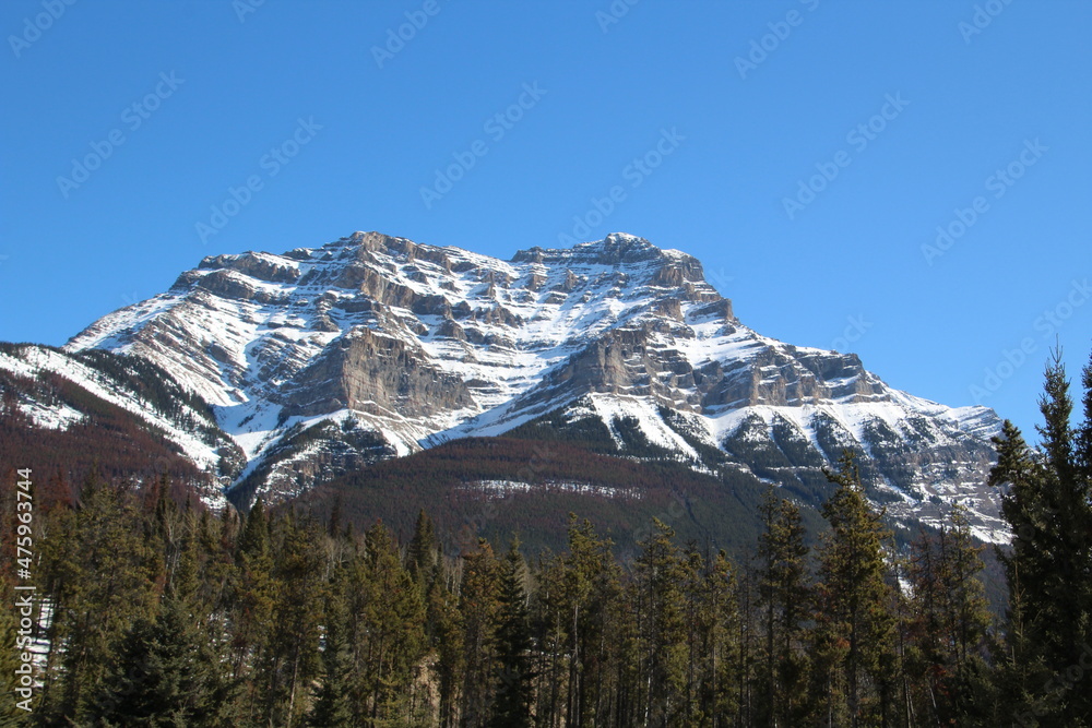 Snowy Mountain, Jasper National Park, Alberta