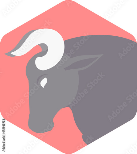 Taurus