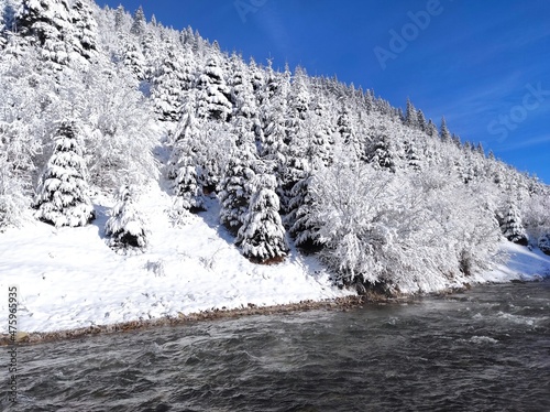 beautiful mountain landscape of carpathians in snow against blue sky. winter in synevyrsky national natural park, tereblya river. ukraine photo