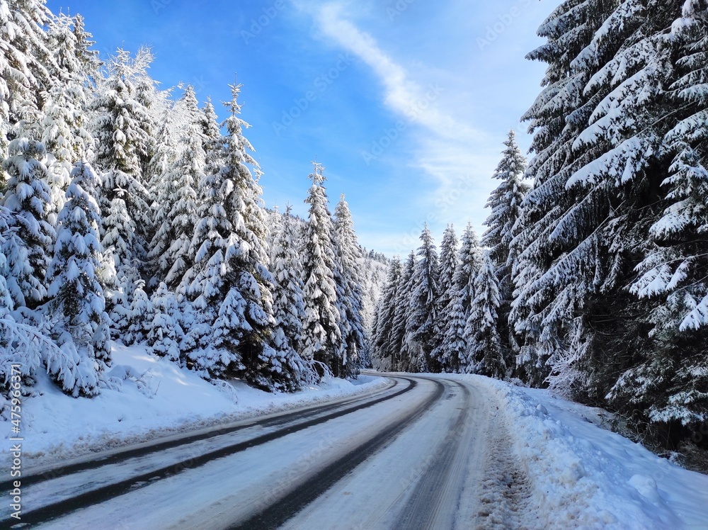 snowy road in a coniferous winter christmas forest on background of a beautiful winter landscape. carpathian mountains. natural park synevyr. ukraine snowy road in a coniferous winter christmas forest on background of a beautiful winter landscape. carpathian mountains. natural park synevyr. ukraine