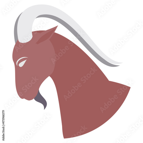 Capricorn