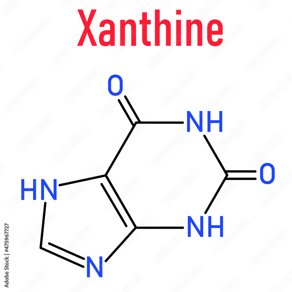 Xanthine purine base molecule. Skeletal formula. Stock Vector Adobe Stock