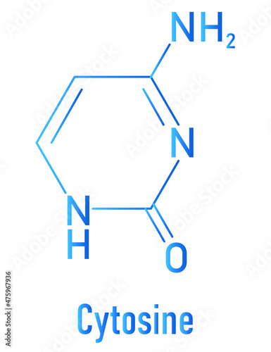 Cytosine pyrimidine nucleobase component. One of the bases found in DNA and RNA. Skeletal formula.