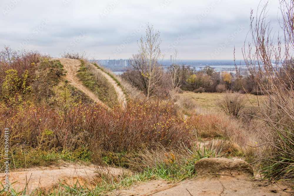 Obraz premium Garden